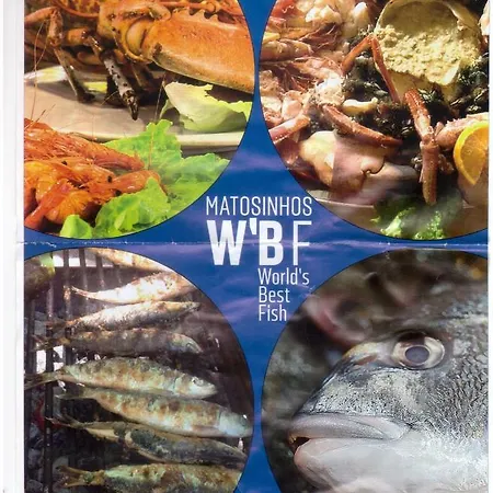 Seamatosinhos Апартаменты